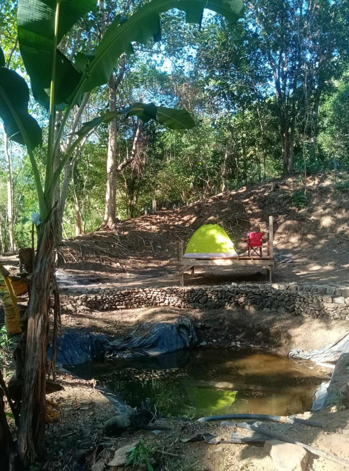 Camping Ground @ Eastdee Lidlidda Esterno foto
