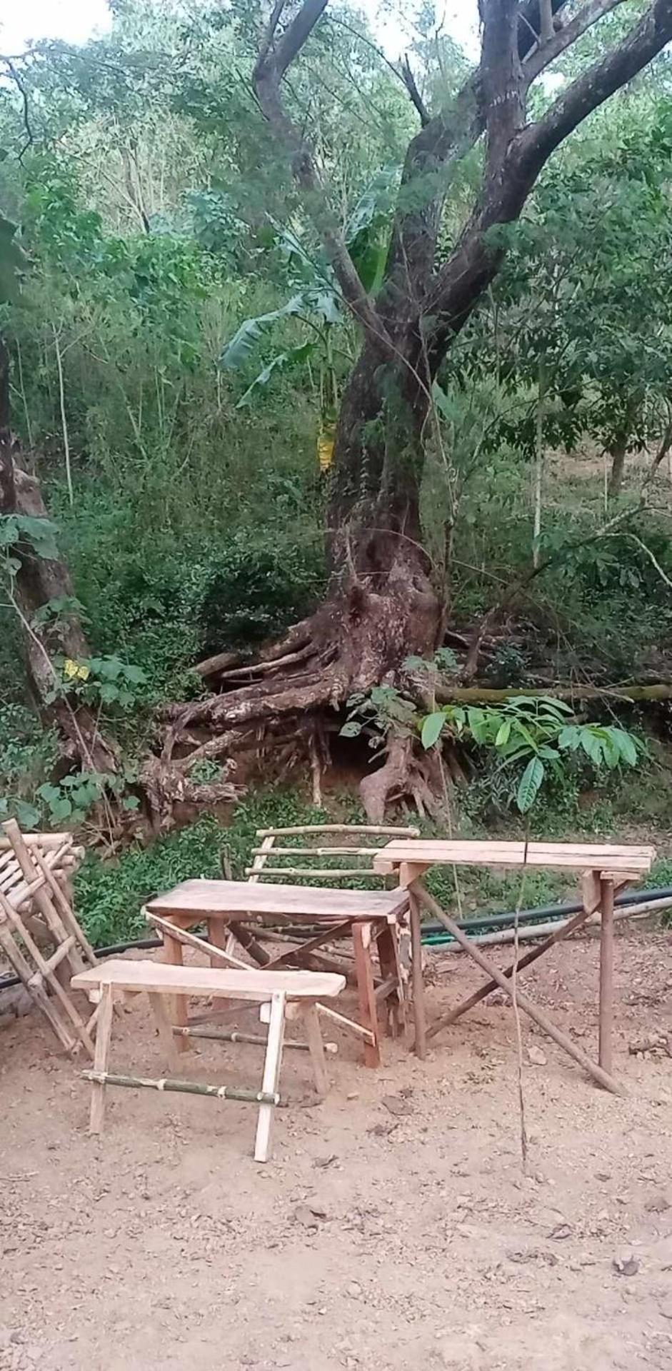 Camping Ground @ Eastdee Lidlidda Esterno foto