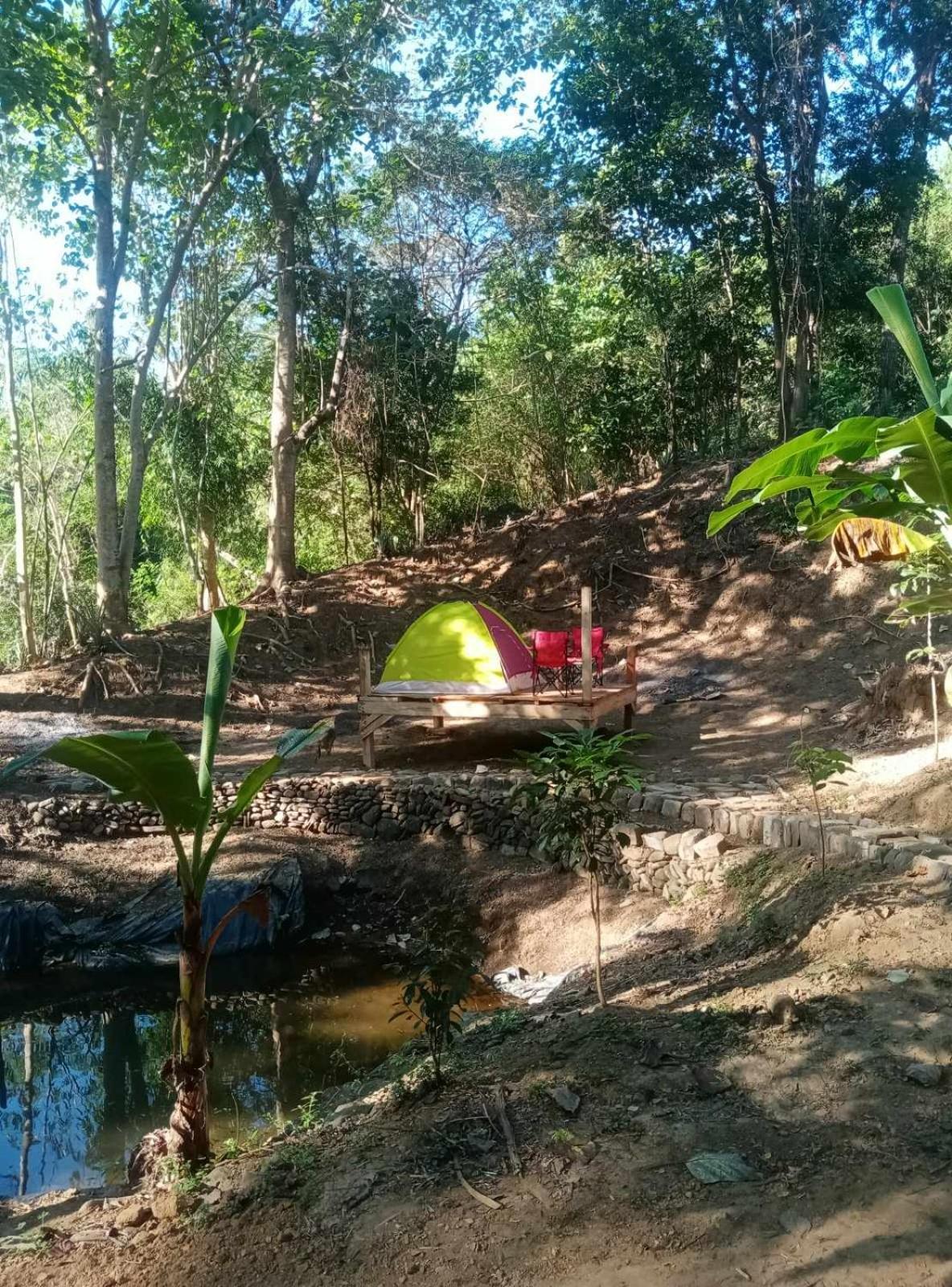 Camping Ground @ Eastdee Lidlidda Esterno foto